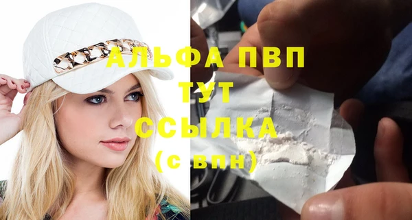 тгк Абаза
