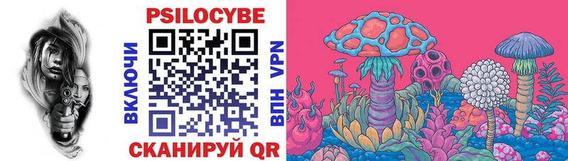 Псилоцибиновые грибы Cubensis  купить закладку  Чишмы 